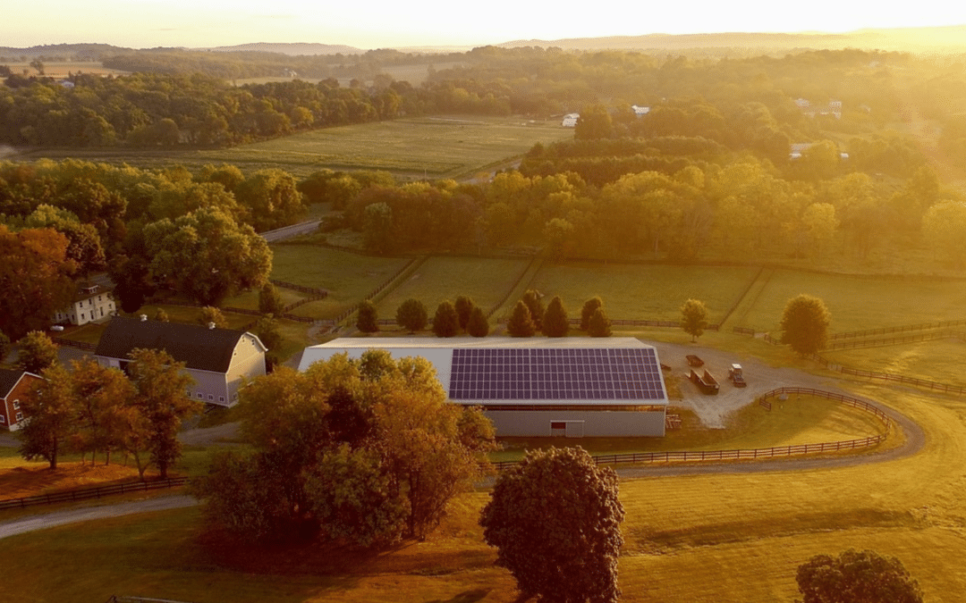 Comparaison : centrale électrique sur balcon ou installation photovoltaïque ?